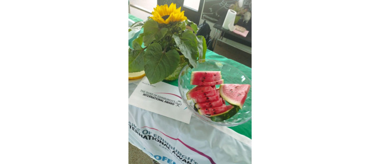 Watermelon Party 2024