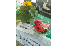 Obrázek k aktualitě Watermelon Party 2024