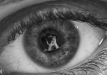 Obrázek k aktualitě Nabídka kroužků