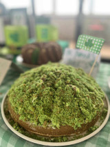 Fotogalerie Oslava svátku svatého Patrika na naší škole, foto č. 4