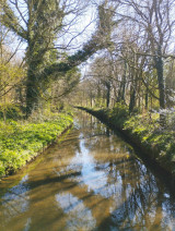 Fotogalerie Zážitková exkurze do severní Anglie se zastávkou v Amsterdamu, foto č. 28
