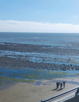 Fotogalerie Zážitková exkurze do severní Anglie se zastávkou v Amsterdamu, foto č. 34