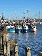 Fotogalerie Zážitková exkurze do severní Anglie se zastávkou v Amsterdamu, foto č. 30