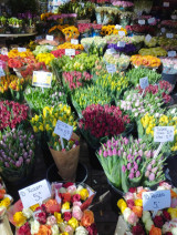 Fotogalerie Zážitková exkurze do severní Anglie se zastávkou v Amsterdamu, foto č. 8