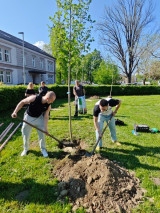 Fotogalerie 80. VÝROČÍ OSVOBOZENÍ ROŽNOVA – VÝSADBA STROMŮ PAMĚTI, foto č. 3