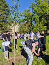 Fotogalerie 80. VÝROČÍ OSVOBOZENÍ ROŽNOVA – VÝSADBA STROMŮ PAMĚTI, foto č. 4