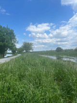 Fotogalerie Stříbrná DOFE expedice: Meandry Moravy na kánoi, foto č. 2