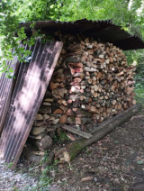 Fotogalerie Bronzová expedice DofE v srdci Moravských Kopanic, foto č. 6